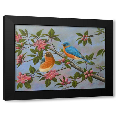 Bluebirds Black Modern Wood Framed Art Print by Wavra, Robert