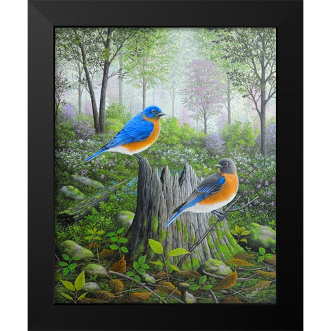 Spring Bluebirds Black Modern Wood Framed Art Print by Wavra, Robert