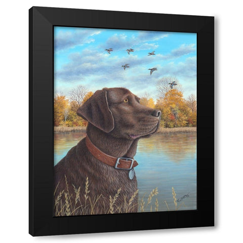 Chocolate Lab Black Modern Wood Framed Art Print with Double Matting by Wavra, Robert