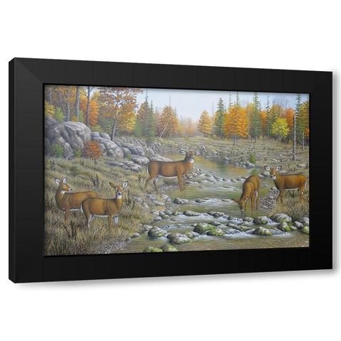 Autumn Whitetails Black Modern Wood Framed Art Print with Double Matting by Wavra, Robert