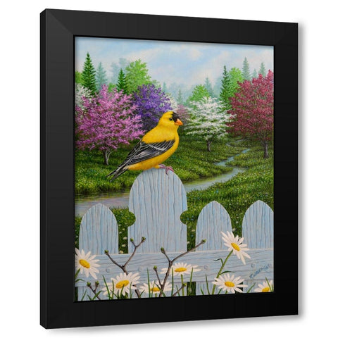 Goldfinch and Daisies Black Modern Wood Framed Art Print by Wavra, Robert