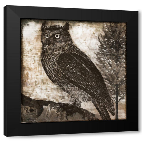 Owl 2 Black Modern Wood Framed Art Print with Double Matting by Sasha