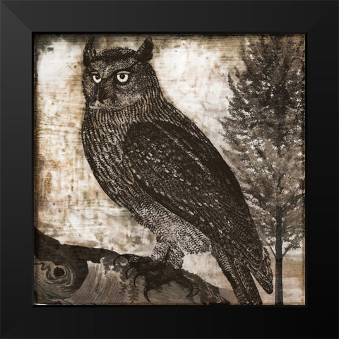 Owl 2 Black Modern Wood Framed Art Print by Sasha