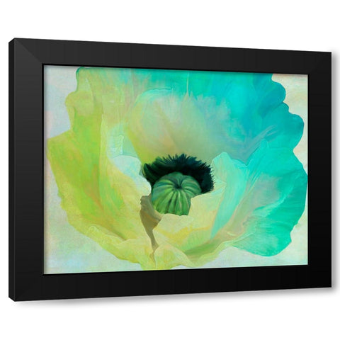 Poppy Gradient I Black Modern Wood Framed Art Print by Sasha