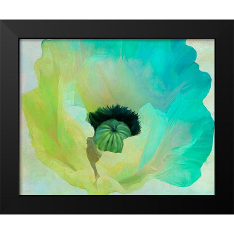 Poppy Gradient I Black Modern Wood Framed Art Print by Sasha