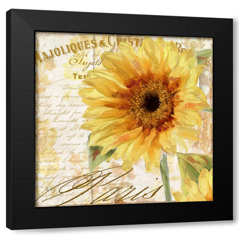 Ete II Black Modern Wood Framed Art Print with Double Matting by Sasha