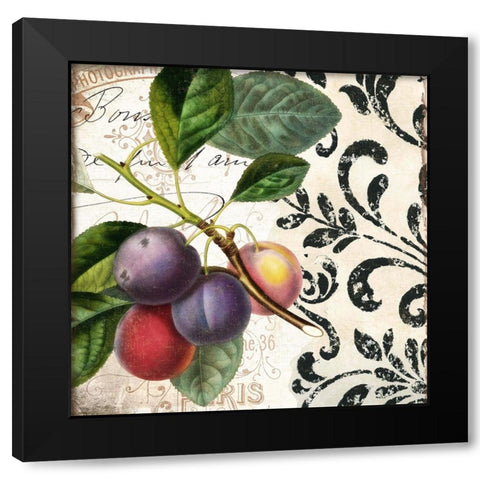 Les Fruits Jardin III Black Modern Wood Framed Art Print with Double Matting by Sasha