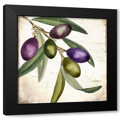 Olive Branch I Black Modern Wood Framed Art Print with Double Matting by Sasha
