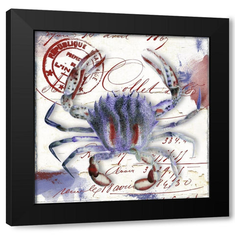 Oceania II Black Modern Wood Framed Art Print with Double Matting by Sasha