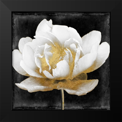 Gilda II Black Modern Wood Framed Art Print by Sasha