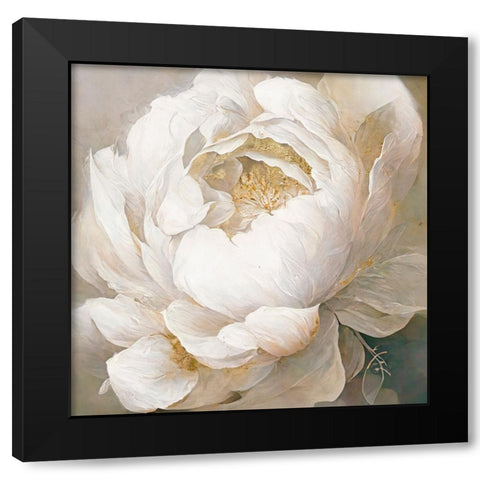 Peony Poses I Black Modern Wood Framed Art Print with Double Matting by Sasha