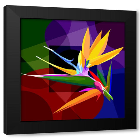 Bird Of Paradise 001 Black Modern Wood Framed Art Print by Pansanit, Surapol