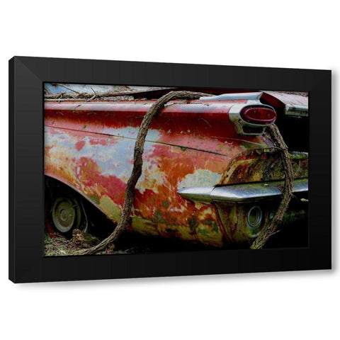 Branch Tail Pipe Black Modern Wood Framed Art Print by Susan Vizvary Photography