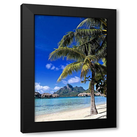Borabora Palm Tree Black Modern Wood Framed Art Print by Susan Vizvary Photography