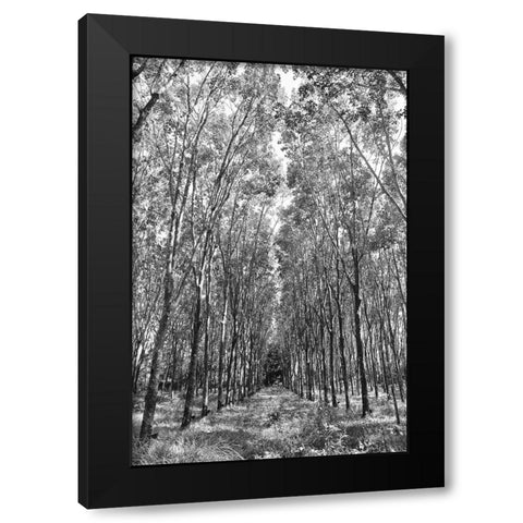 Through The Trees Black Modern Wood Framed Art Print by Susan Vizvary Photography