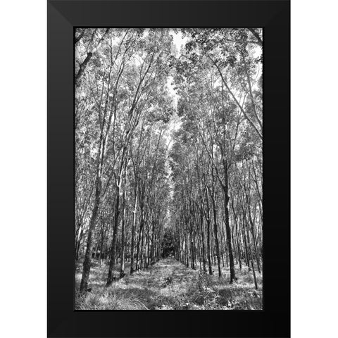 Through The Trees Black Modern Wood Framed Art Print by Susan Vizvary Photography