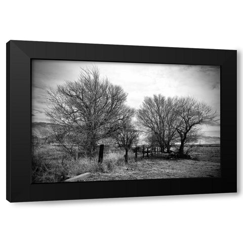 Trees Near A Fence Black Modern Wood Framed Art Print by Susan Vizvary Photography
