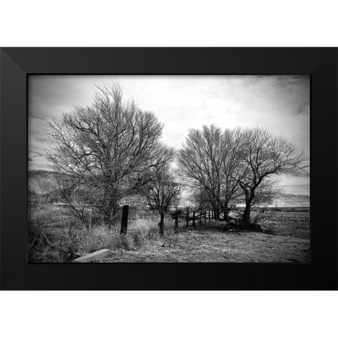 Trees Near A Fence Black Modern Wood Framed Art Print by Susan Vizvary Photography