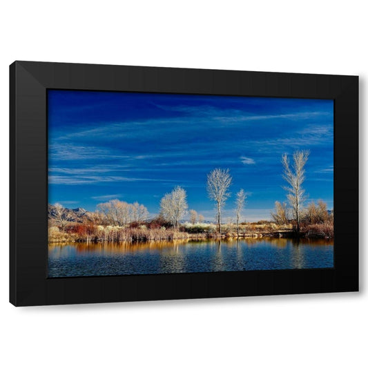White Reflecting Trees Black Modern Wood Framed Art Print by Susan Vizvary Photography