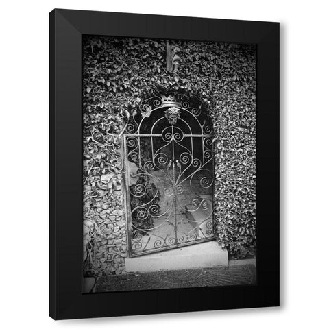 Gate With Ivy Black Modern Wood Framed Art Print by Susan Vizvary Photography