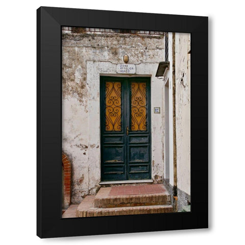 Green Door 12 Black Modern Wood Framed Art Print by Susan Vizvary Photography