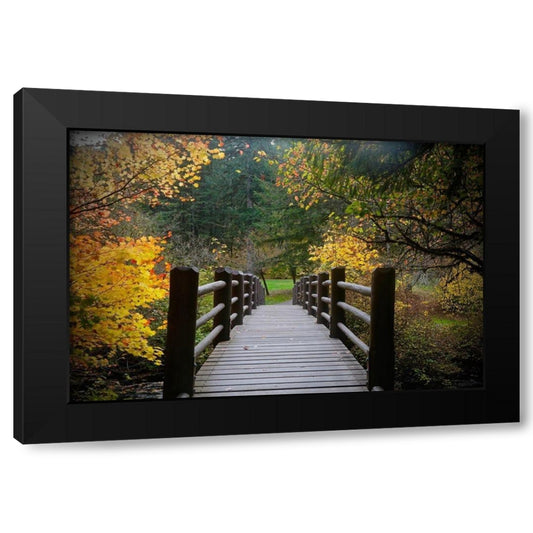 Autumns Bridge Black Modern Wood Framed Art Print by Susan Vizvary Photography