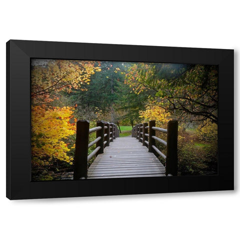 Autumns Bridge Black Modern Wood Framed Art Print by Susan Vizvary Photography