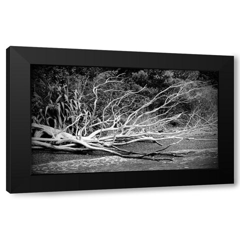 Branch on The Beach in Black and White Black Modern Wood Framed Art Print by Susan Vizvary Photography