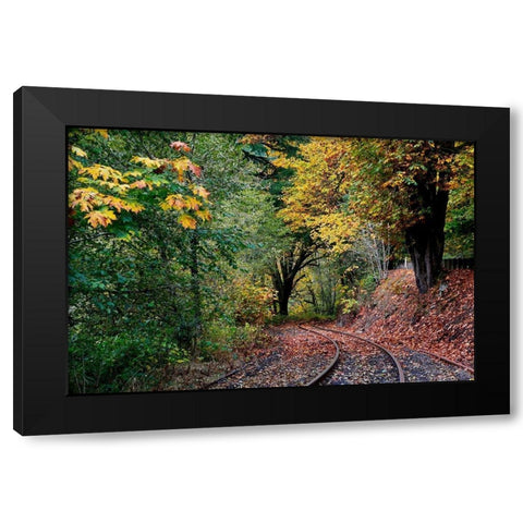 Curved Tracks Black Modern Wood Framed Art Print by Susan Vizvary Photography