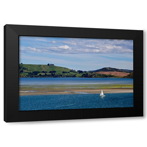 Lone Sailor in New Zealand  Black Modern Wood Framed Art Print by Susan Vizvary Photography