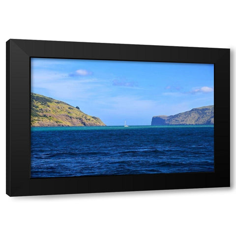 Lone Sailor in New Zealand 2 Black Modern Wood Framed Art Print by Susan Vizvary Photography