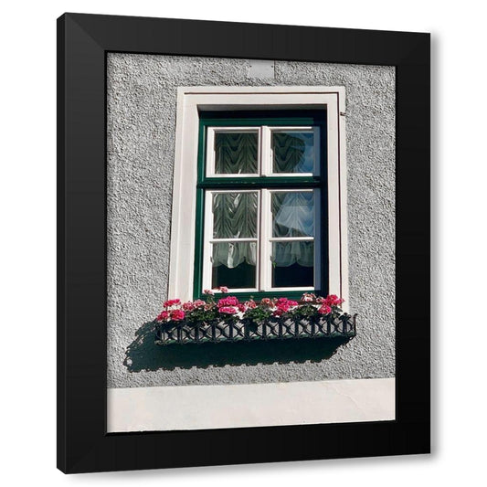 Green Window Flowerbox Black and White Black Modern Wood Framed Art Print by Susan Vizvary Photography