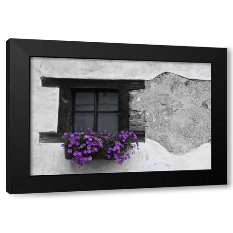 Purple Flowerbox Black and White Black Modern Wood Framed Art Print by Susan Vizvary Photography