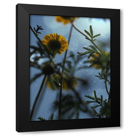 Ant Eye View Black Modern Wood Framed Art Print by Bonin, Suzanne