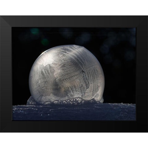 Frozen Bubble Black Modern Wood Framed Art Print by Bonin, Suzanne