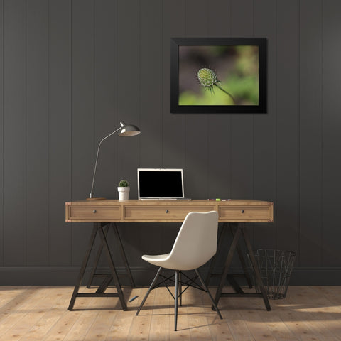 Mournful Widow Black Modern Wood Framed Art Print by Bonin, Suzanne