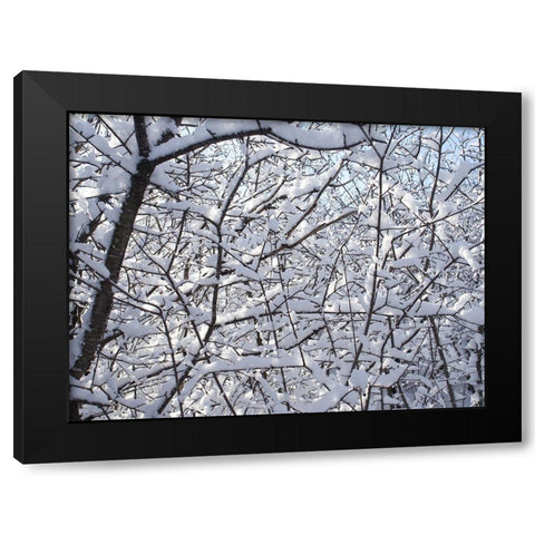 Still Winter Black Modern Wood Framed Art Print with Double Matting by Bonin, Suzanne