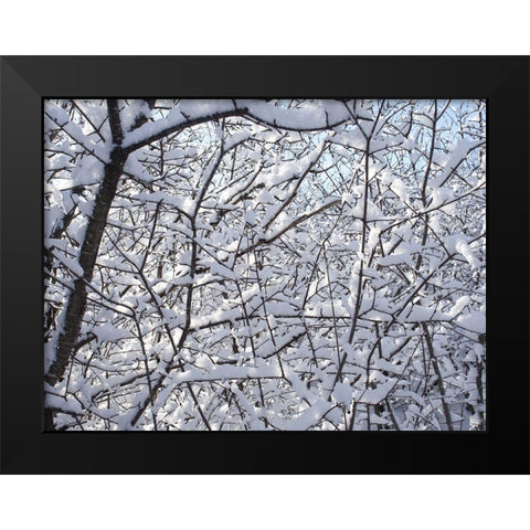 Still Winter Black Modern Wood Framed Art Print by Bonin, Suzanne