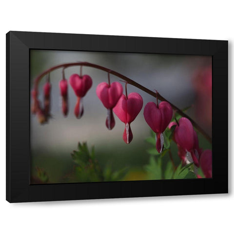 At Dusk Black Modern Wood Framed Art Print with Double Matting by Bonin, Suzanne