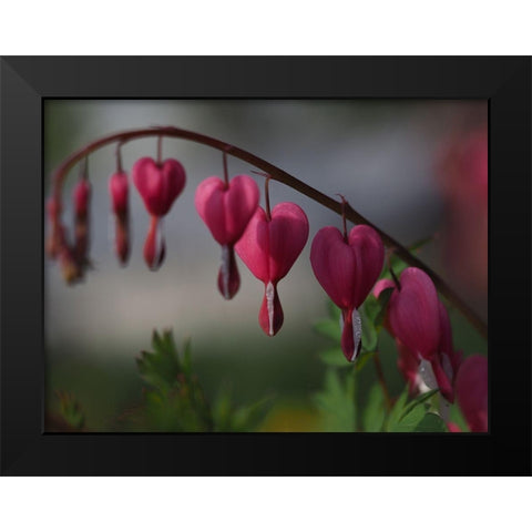 At Dusk Black Modern Wood Framed Art Print by Bonin, Suzanne