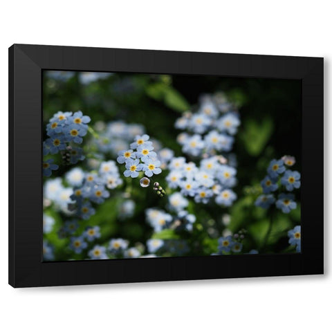 Beautiful Day Black Modern Wood Framed Art Print by Bonin, Suzanne