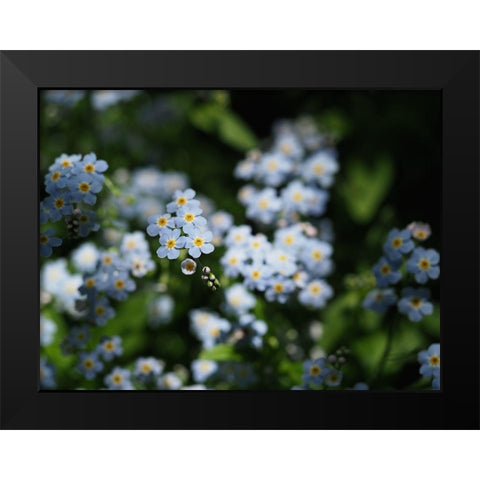 Beautiful Day Black Modern Wood Framed Art Print by Bonin, Suzanne