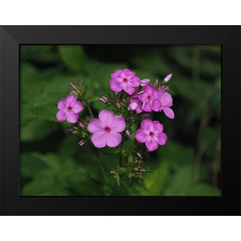 Bouquet In Nature Black Modern Wood Framed Art Print by Bonin, Suzanne