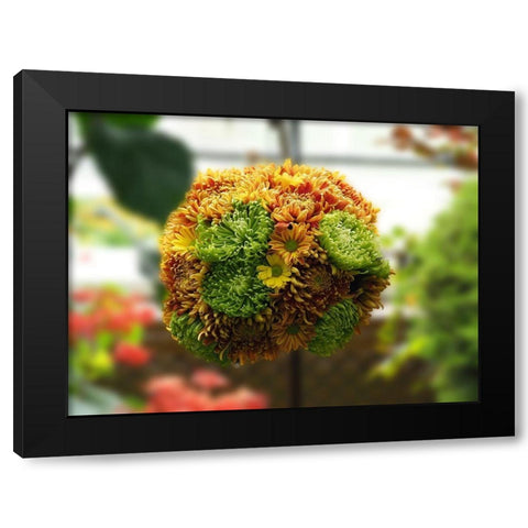 Chrysanthemum Bouquet Black Modern Wood Framed Art Print by Bonin, Suzanne
