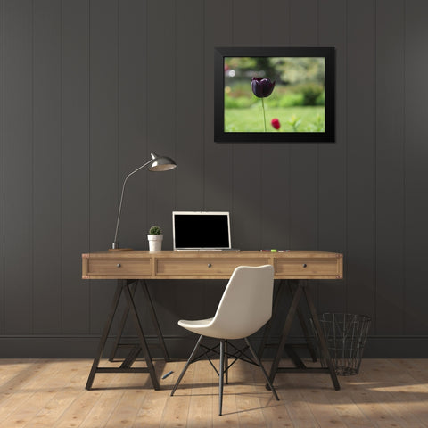 Dark Beauty Black Modern Wood Framed Art Print by Bonin, Suzanne