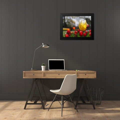 Elegant Black Modern Wood Framed Art Print by Bonin, Suzanne