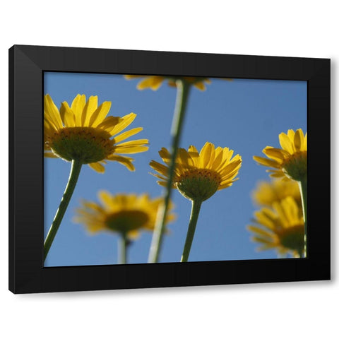 From Below Black Modern Wood Framed Art Print by Bonin, Suzanne