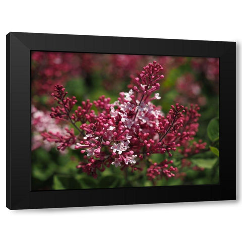 Joy Black Modern Wood Framed Art Print with Double Matting by Bonin, Suzanne