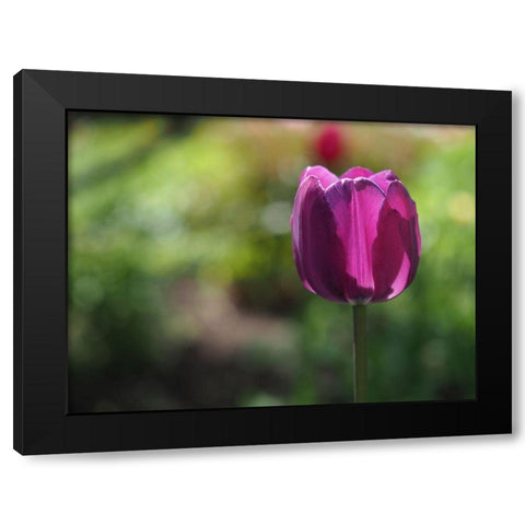 Lovely Lady Black Modern Wood Framed Art Print with Double Matting by Bonin, Suzanne