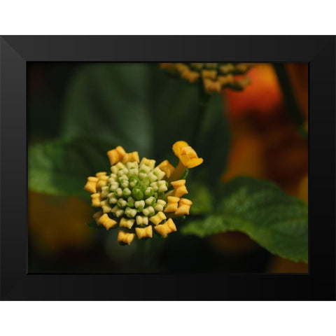 Mini Bow Ties Black Modern Wood Framed Art Print by Bonin, Suzanne